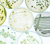 Cosméticos con antimicrobianos de plata FQC