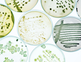 Cosméticos con antimicrobianos de plata FQC